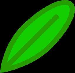 Protect the plant