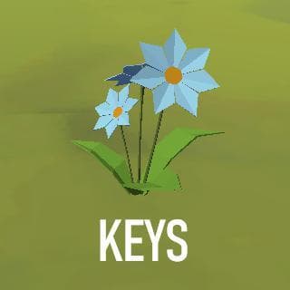 Keys (HTML)