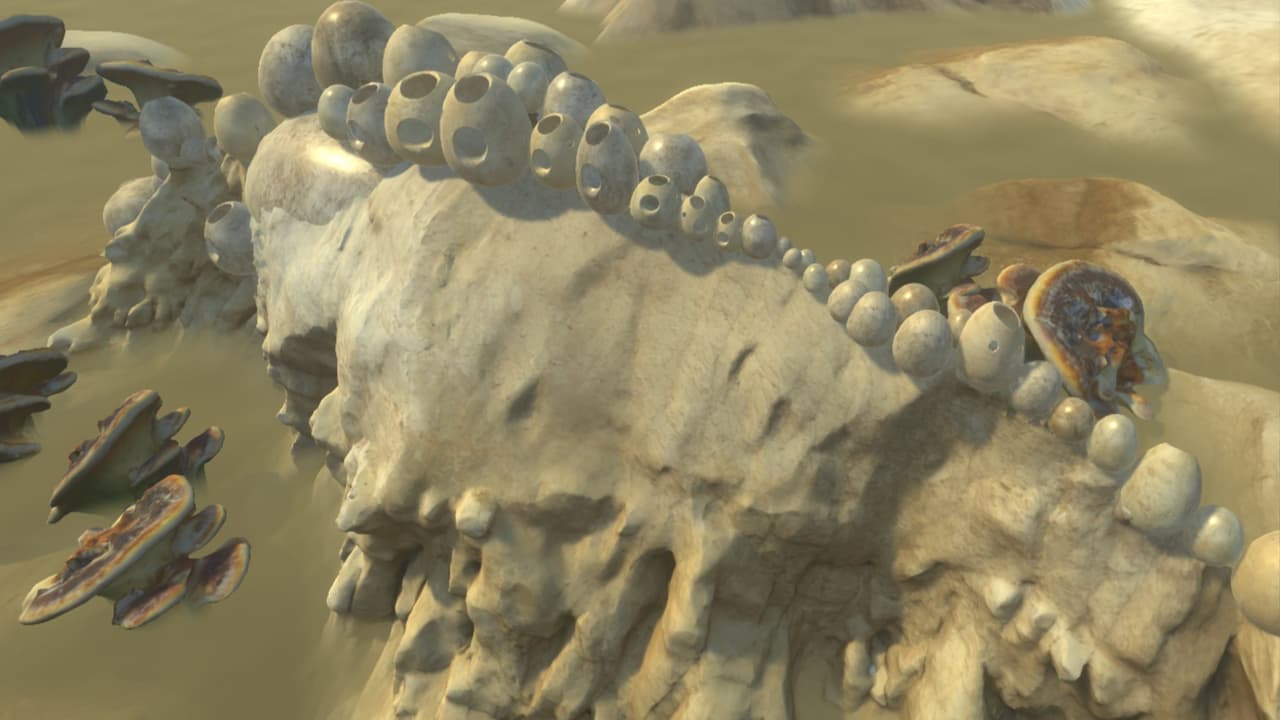 Whale Island