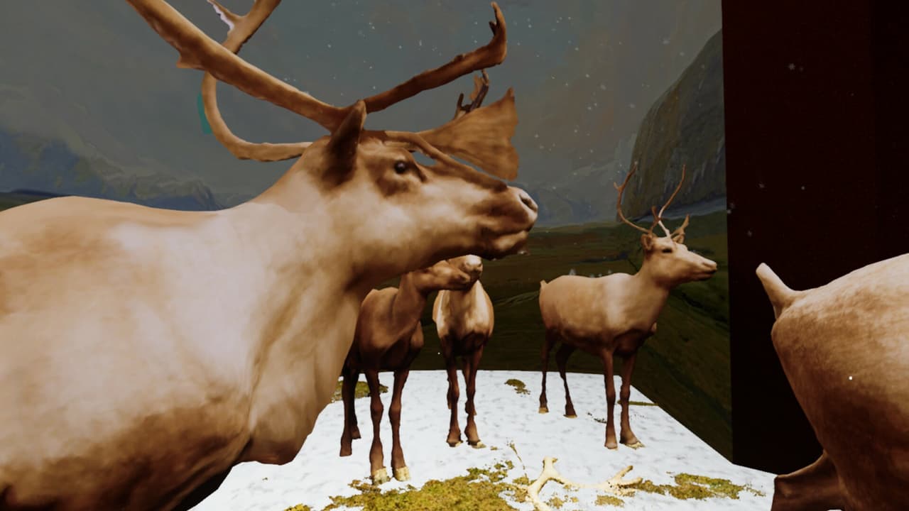Beyond The Diorama: Caribou World screenshot 5