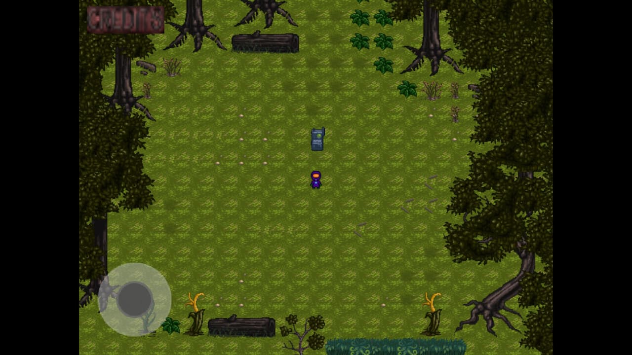 Back Home (BackHome) screenshot 4