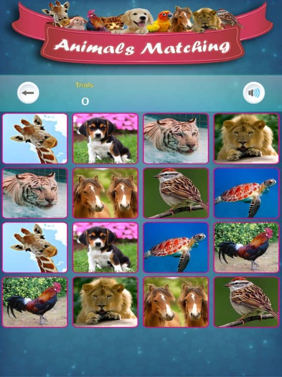 Matching Madness - Animals screenshot 3