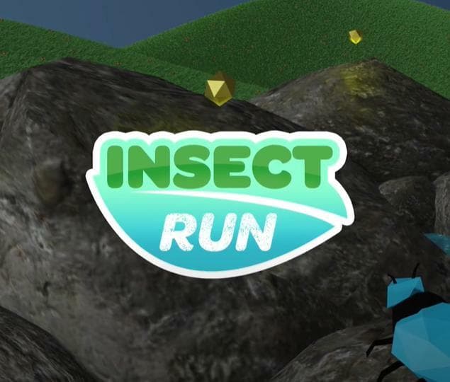 Insect Run