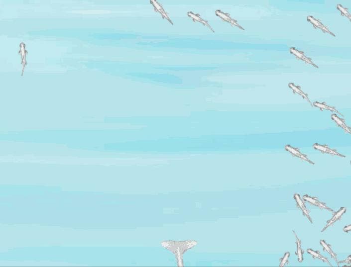 One Chomp screenshot 2