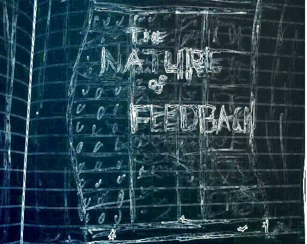 The Nature of Feedback screenshot 2