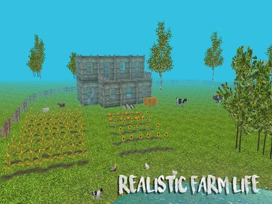 Rooster Simulator screenshot 5