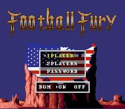 Football Fury screenshot 2