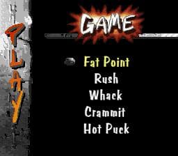 Street Hockey 95 screenshot 6