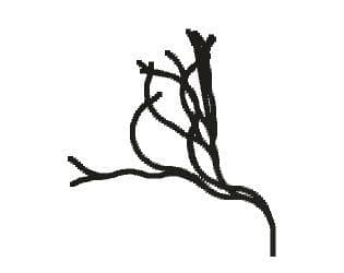 Scribble Gen