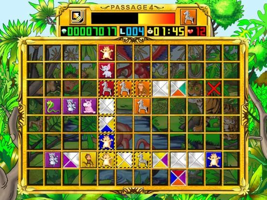 Passage 4 XL screenshot 4
