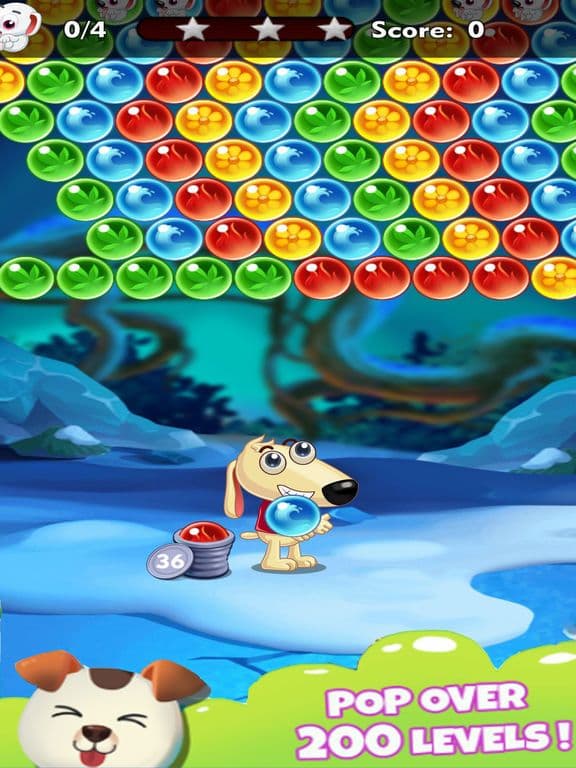 Dog Bubble