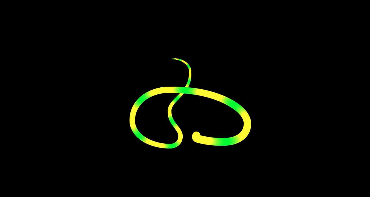 Reverse Snek