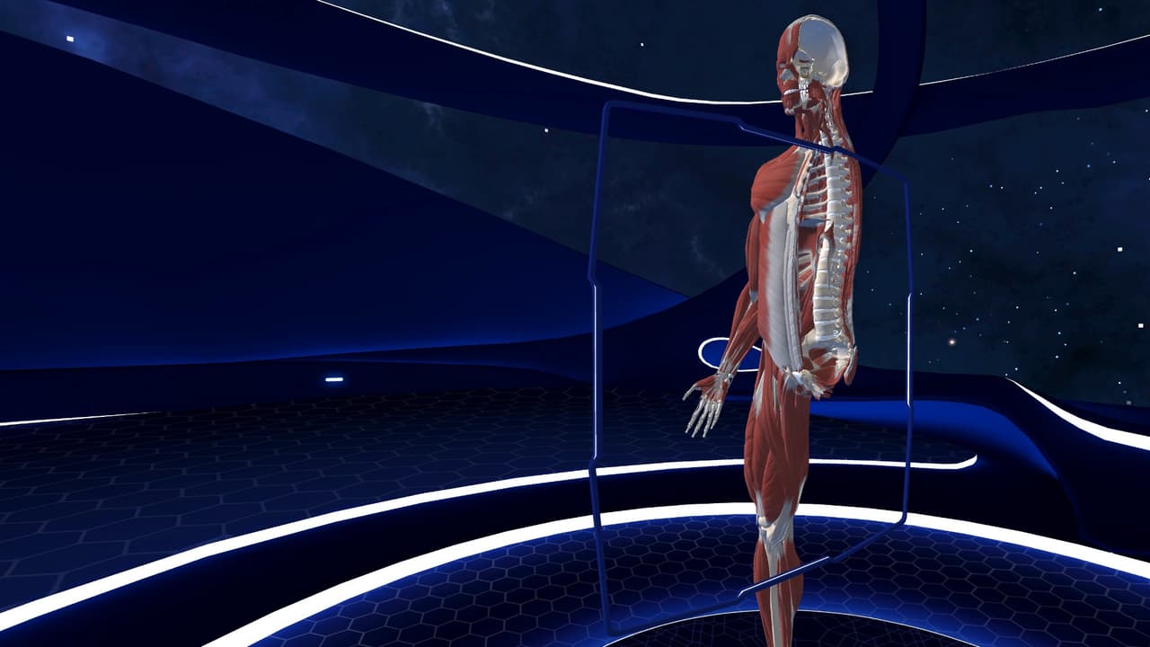 Human Anatomy VR screenshot 4