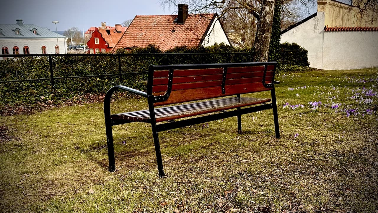 The butterfly bench