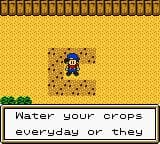 Harvest Moon 2 GBC (1999) screenshot 6