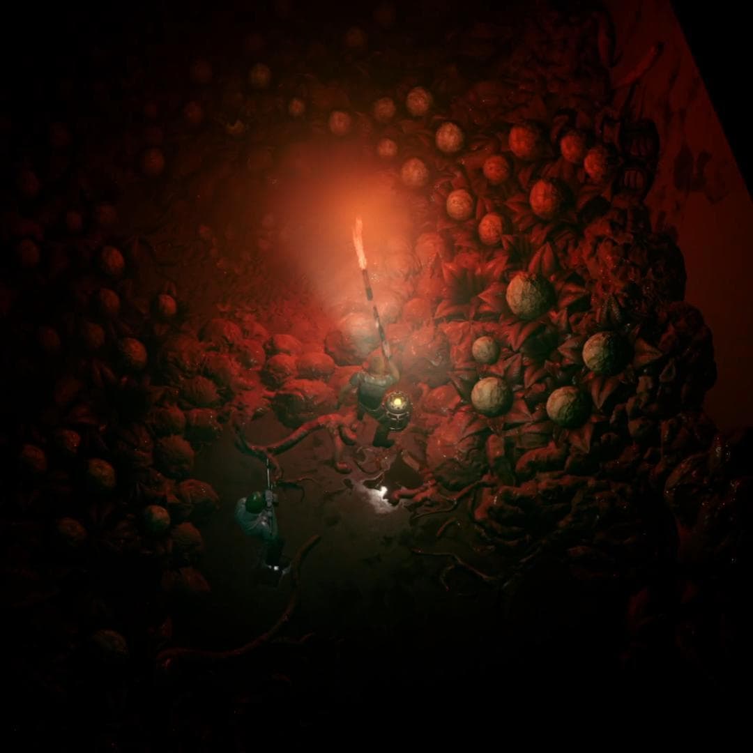 Scour The Dark