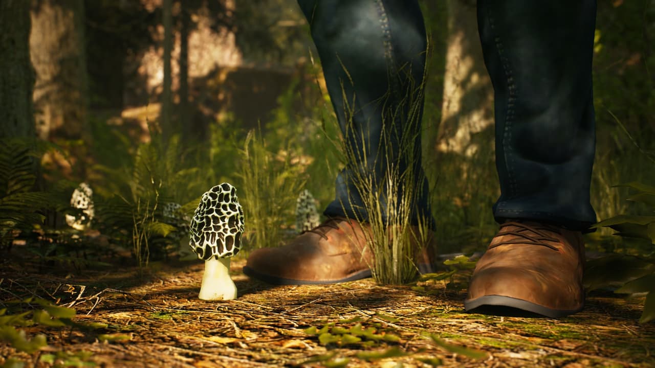 Morels: The Hunt screenshot 2
