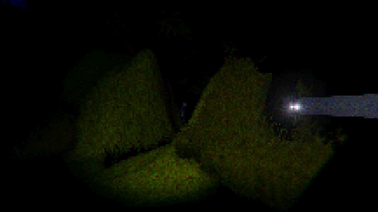 THE FOREST - PSX STYLE (GamerARTS) screenshot 5