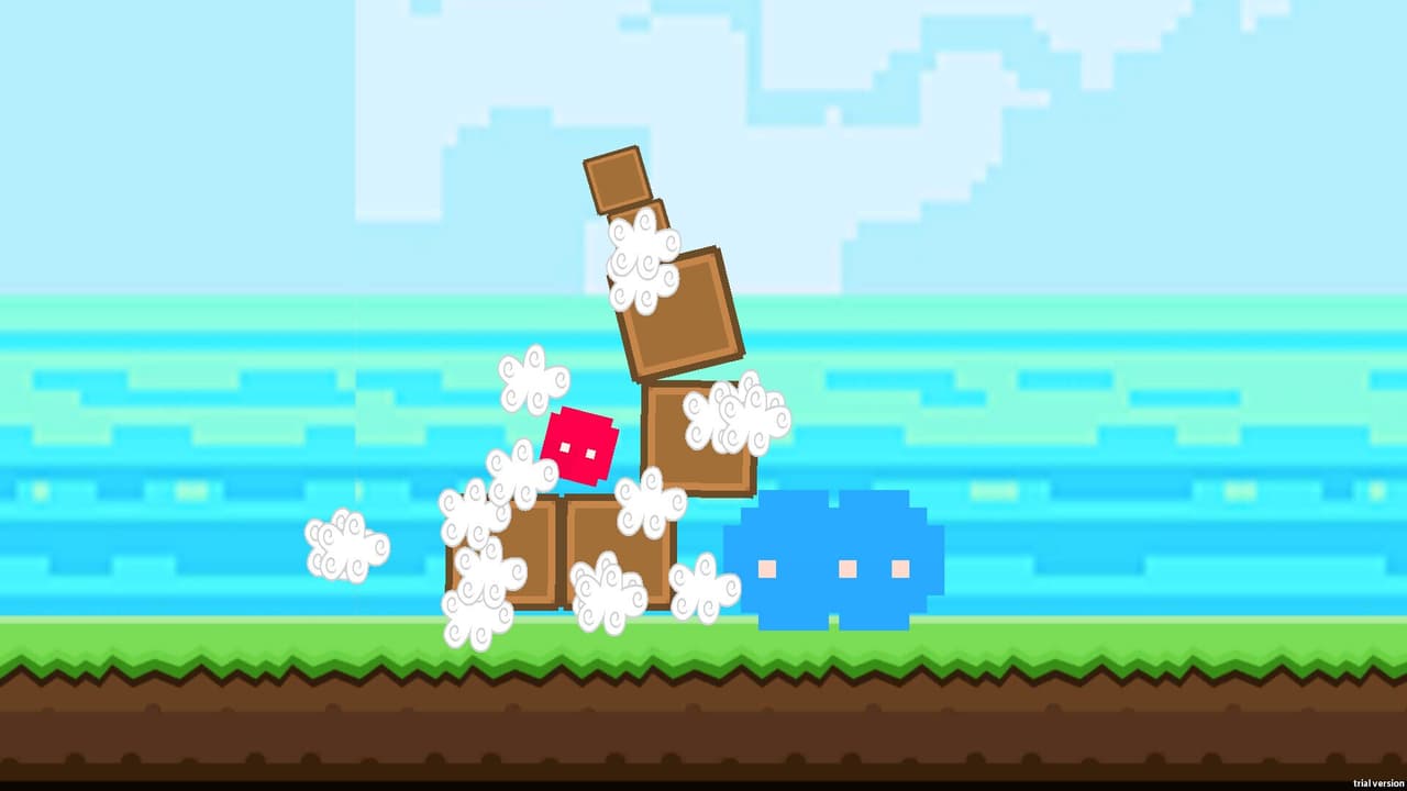 Flying Birds