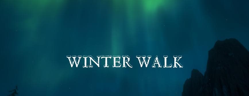Winter Walk