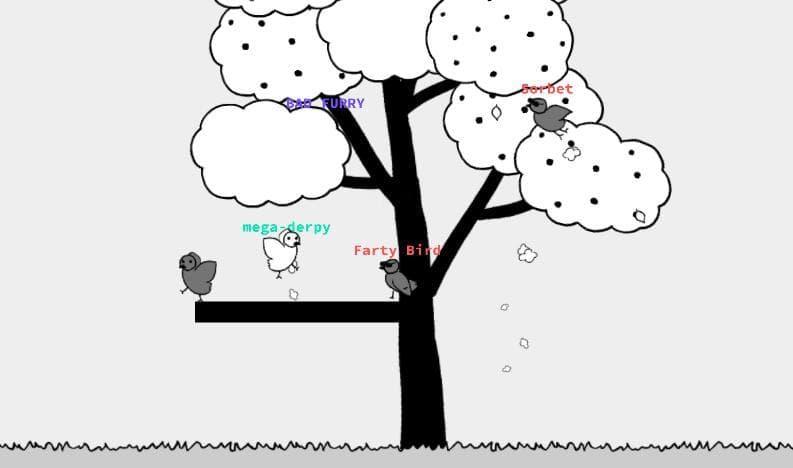 Bird Chat screenshot 3