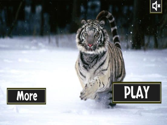Ultimate Wild White Tiger Simulator screenshot 2