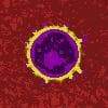 Viral Infection