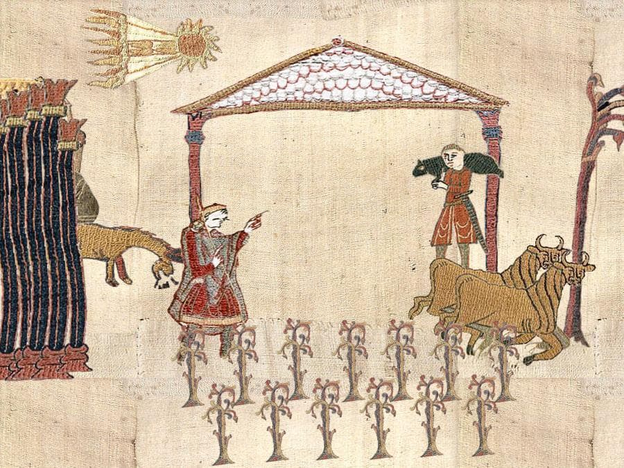A Normans Life screenshot 2