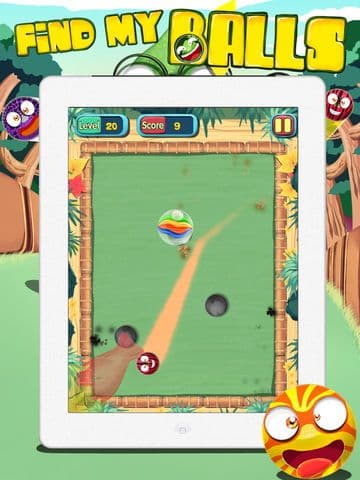 Find My Balls