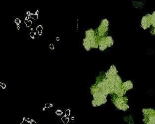 Game of Life #Exp 4 screenshot 3