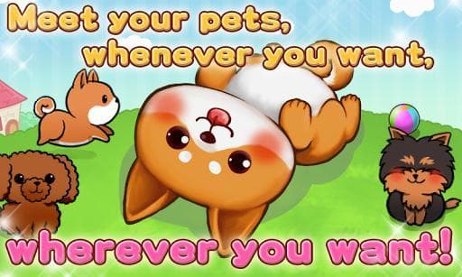 Cute Dogs Life