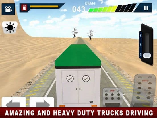 Driving Truck US Deset Way screenshot 3