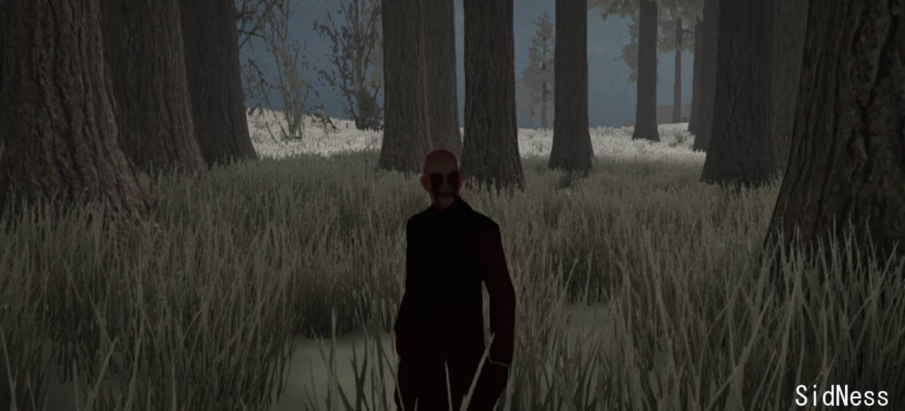 Sidness screenshot 2
