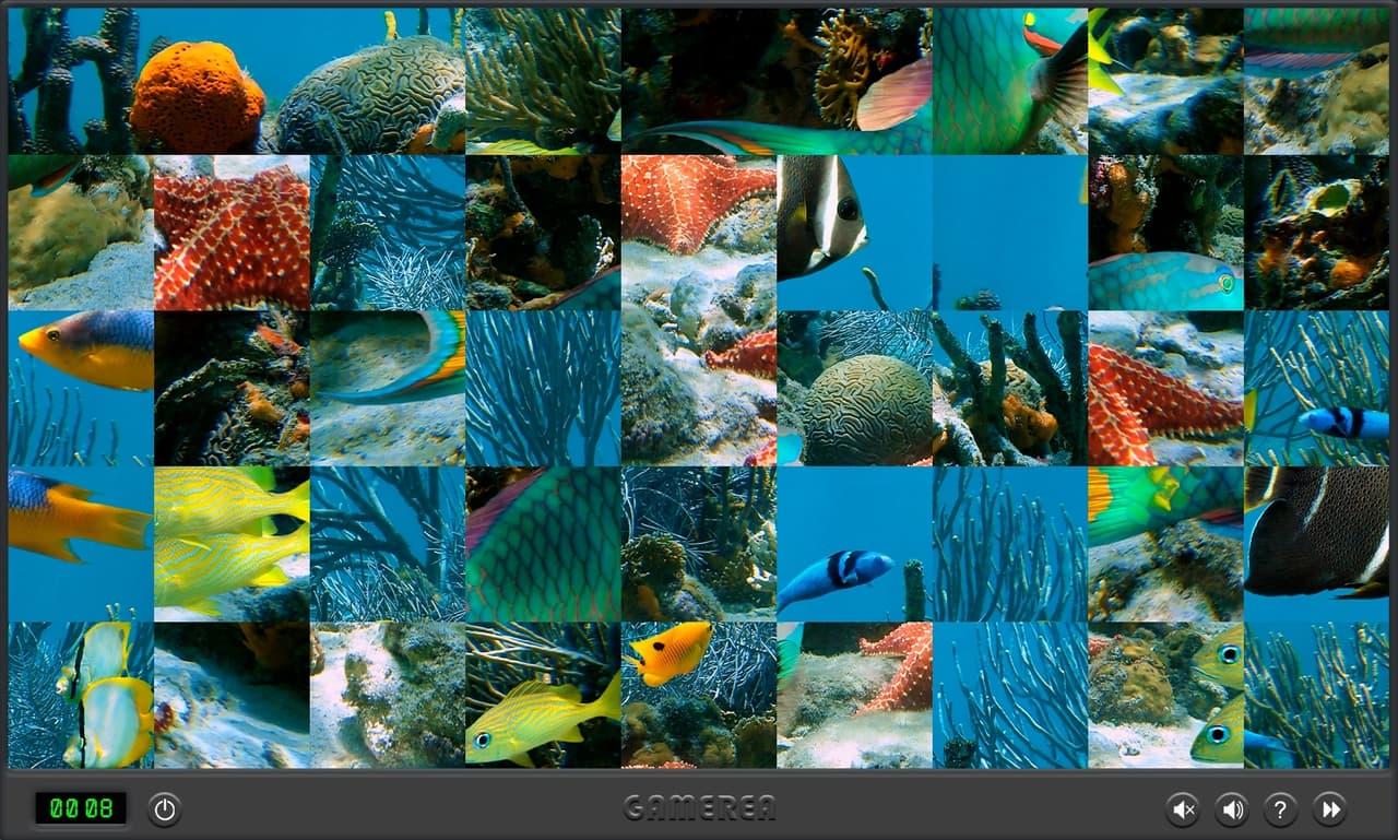 Animals Of The World screenshot 4