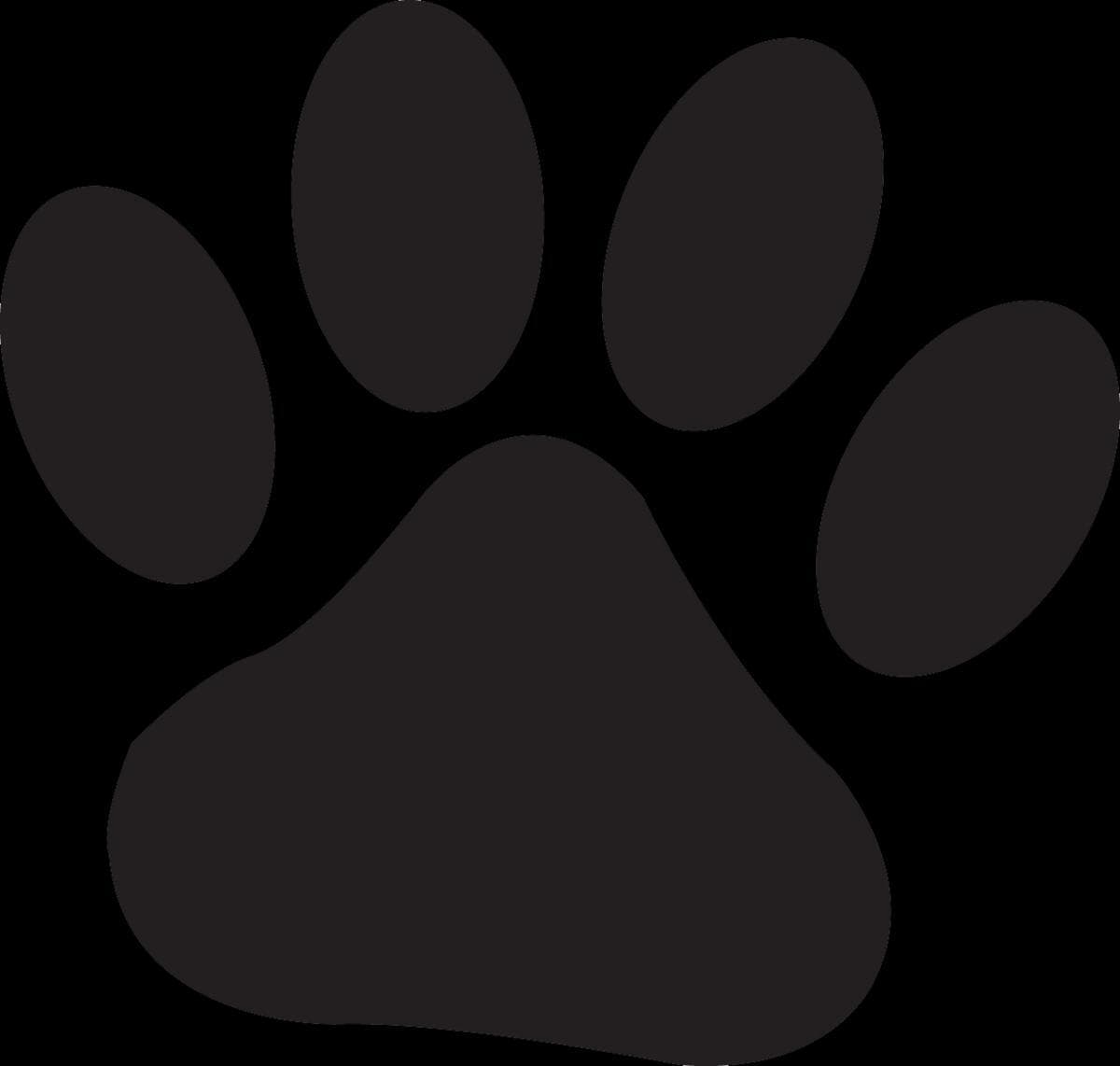 Binary Pet v1.0