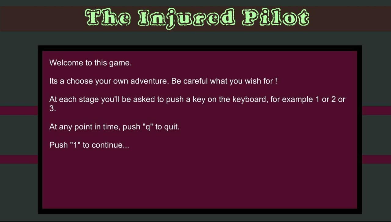 The Injured Pilot (p2kr)
