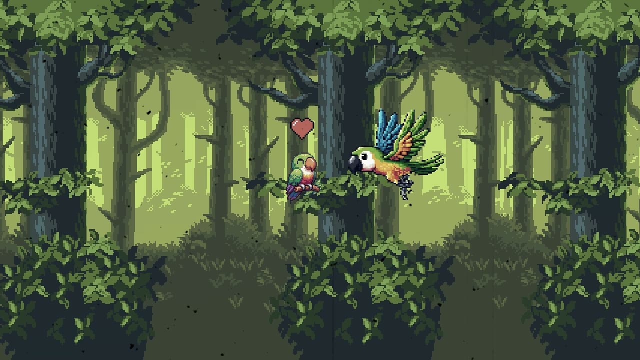 Birds Adventure