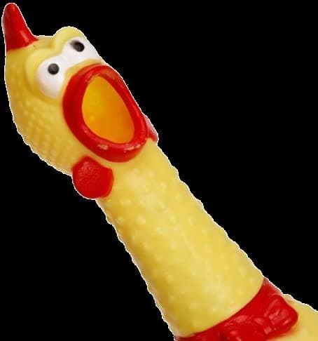 Aprendiendo Geografía con Pepi el pollo