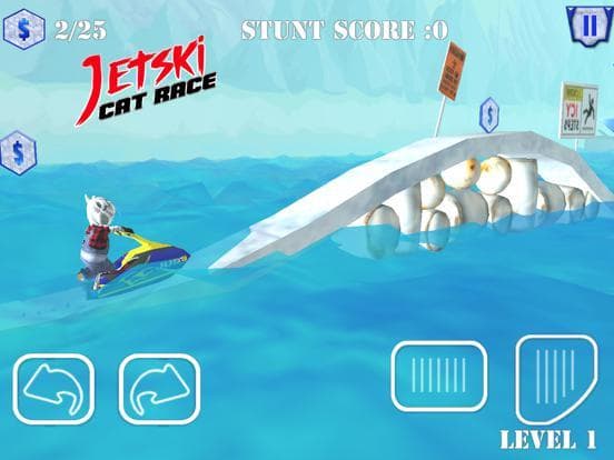 Jet Ski Cat Race screenshot 2