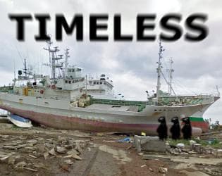 Timeless (Patrick Woodcock)