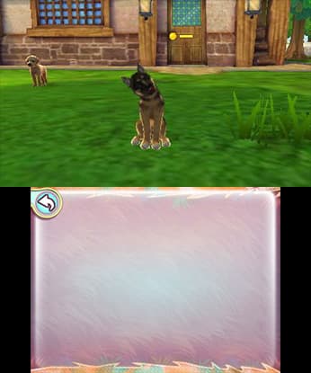 I Love My Dogs screenshot 3