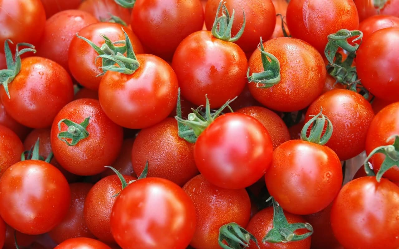 Group 4 - Attack on Tomatoes