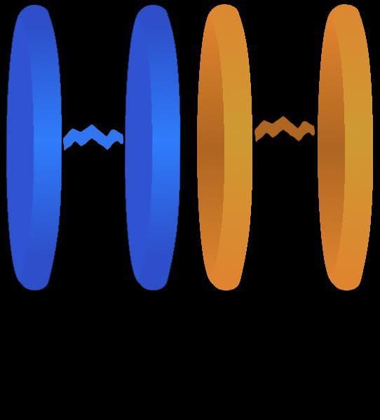 Portal 0
