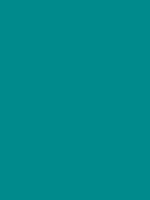 Point: Color C0De