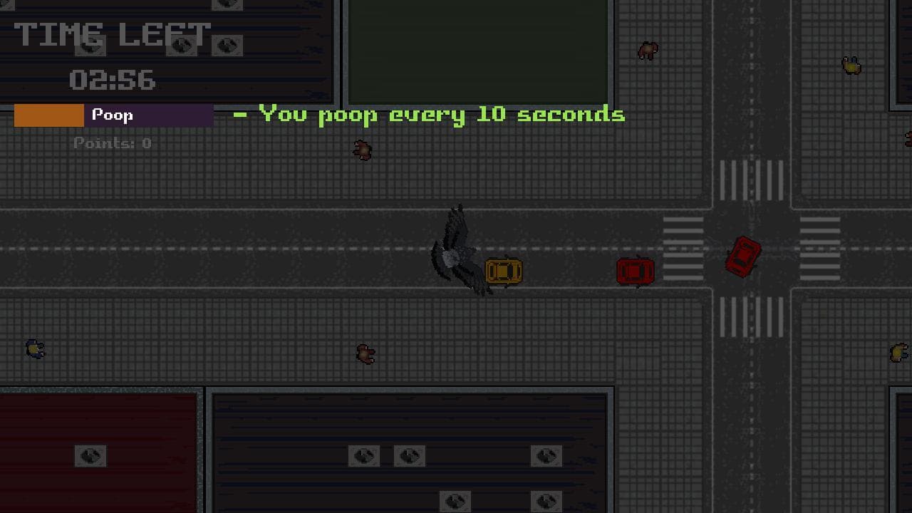 Chaos Pidgeon