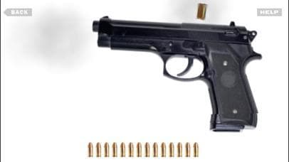 GunApp screenshot 4