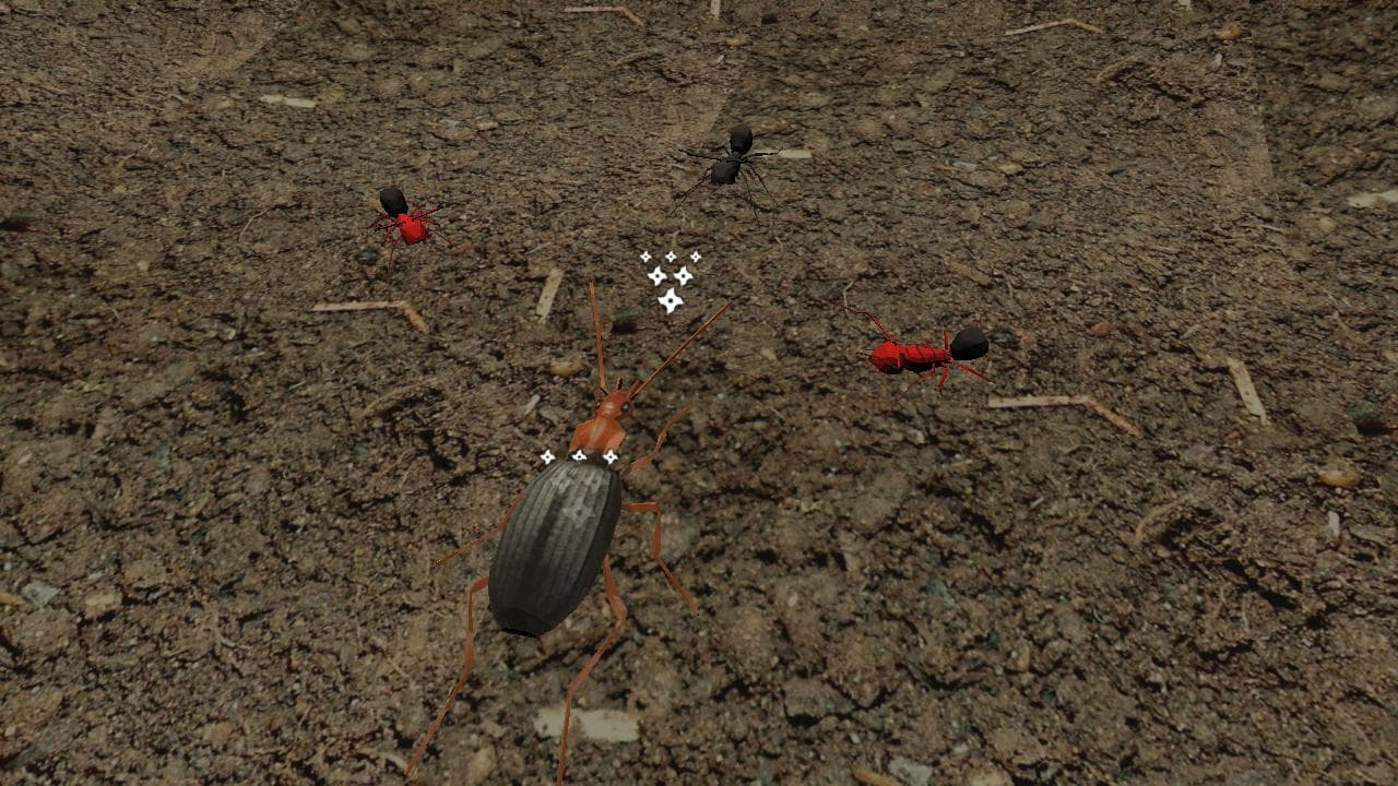 Bombardier Beetle