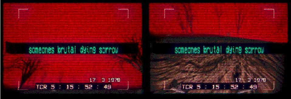 𝖘:𝖓𝖊