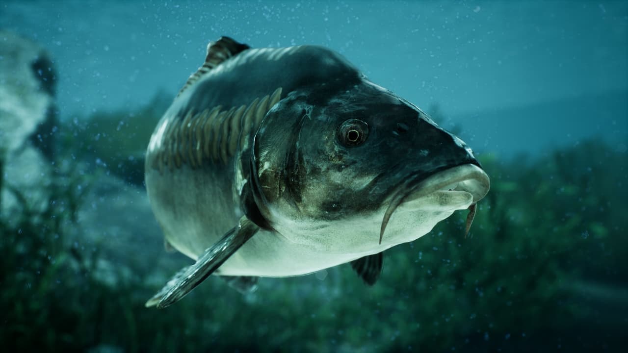 The Catch: Carp & Coarse screenshot 2