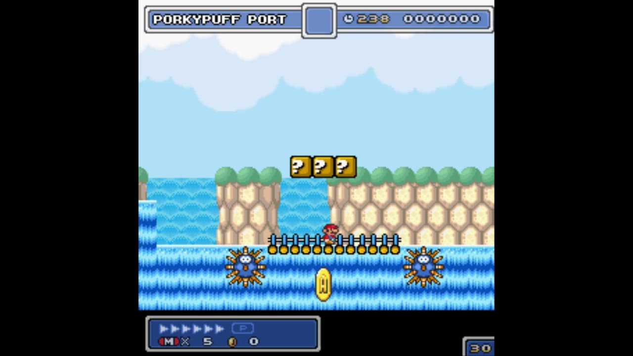 Super Mario Bros 5